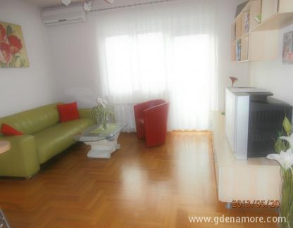 Apartment DENA- nicely decorated and equipped, in a great location, private accommodation in city Zagreb, Croatia - Dnevni boravak